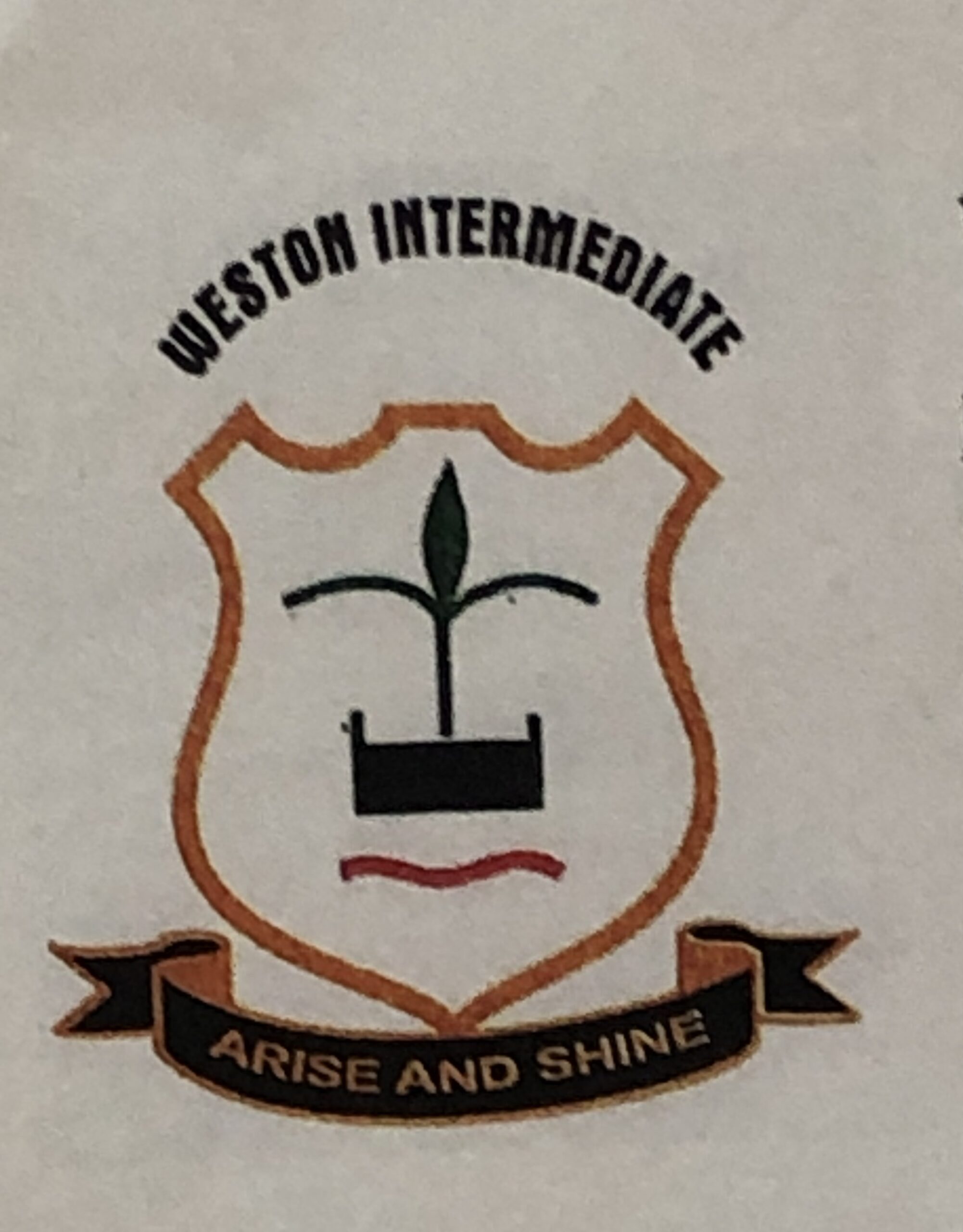  Weston Primary School8